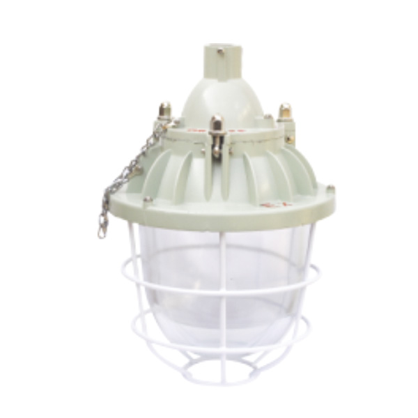 DCG-200D系列隔爆型deep色客
(ⅡB)(上开启)